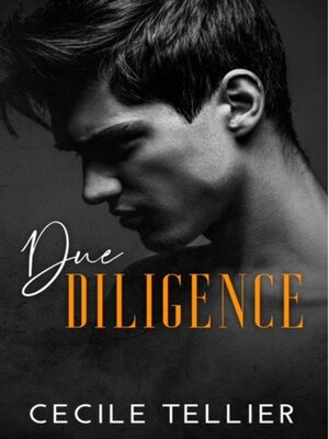 cover image of Due Diligence